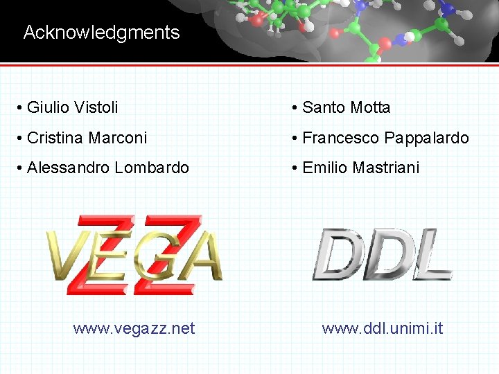 Acknowledgments • Giulio Vistoli • Santo Motta • Cristina Marconi • Francesco Pappalardo •