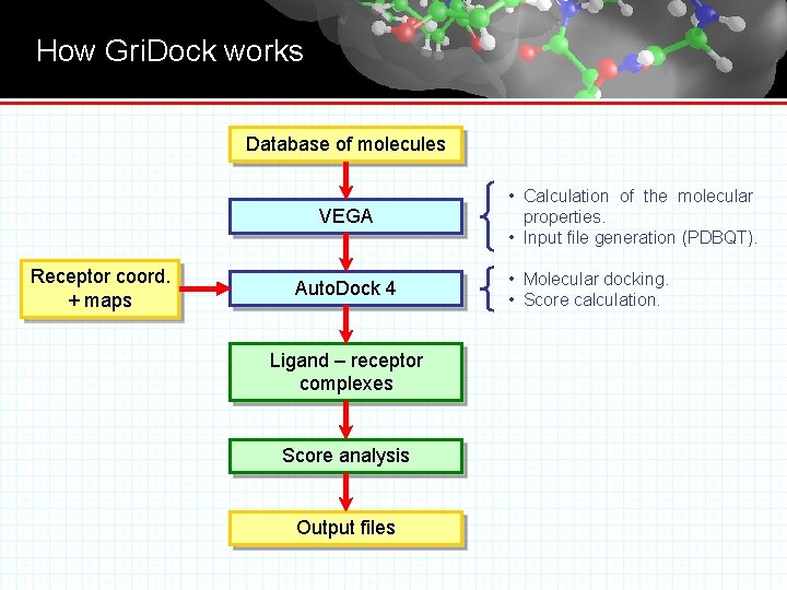 How Gri. Dock works Database of molecules VEGA Receptor coord. + maps Auto. Dock