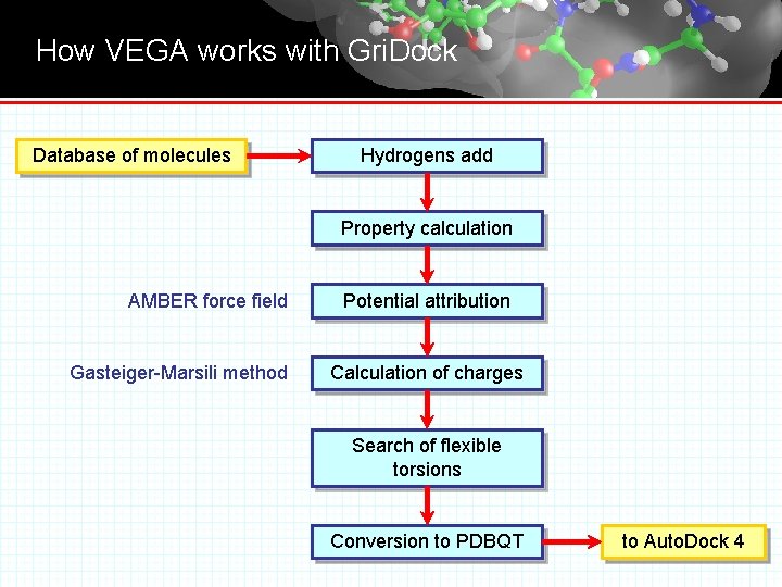 How VEGA works with Gri. Dock Database of molecules Hydrogens add Property calculation AMBER