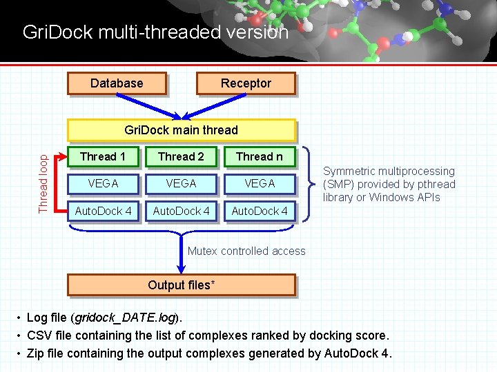 Gri. Dock multi-threaded version Database Receptor Thread loop Gri. Dock main thread Thread 1