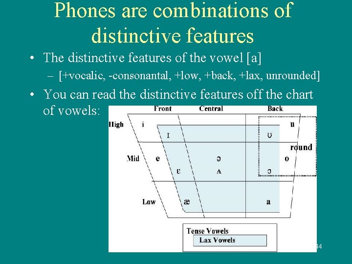 Phones are combinations of distinctive features • The distinctive features of the vowel [a]