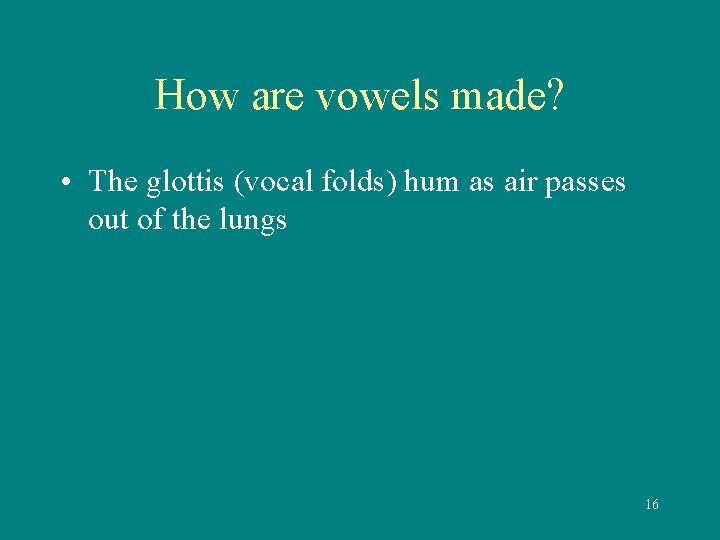 How are vowels made? • The glottis (vocal folds) hum as air passes out