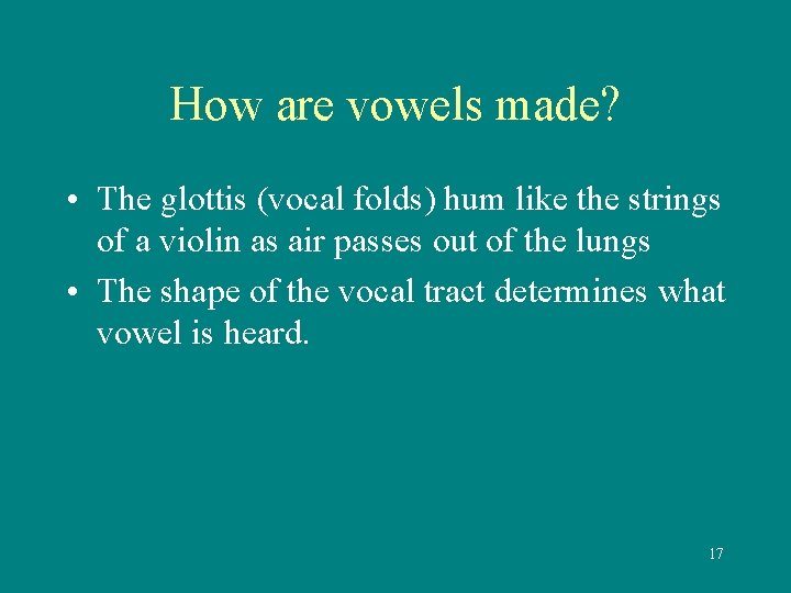 How are vowels made? • The glottis (vocal folds) hum like the strings of