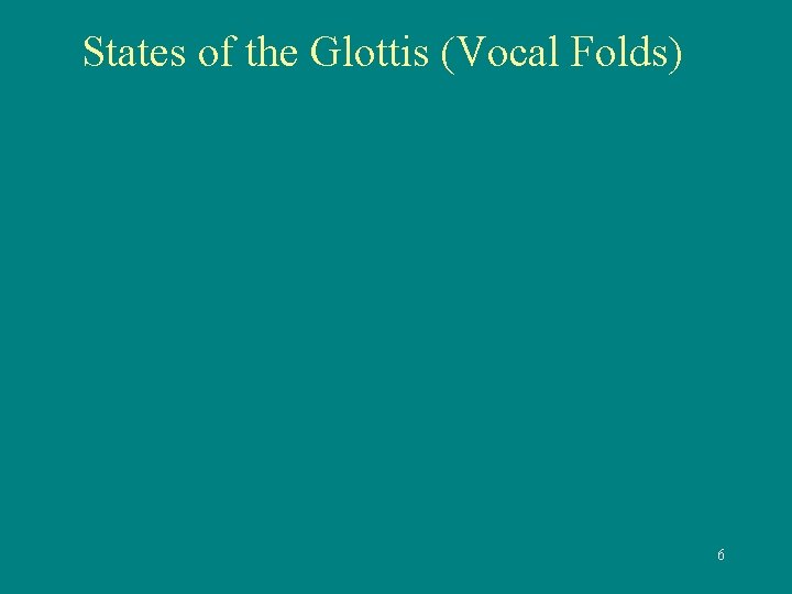 States of the Glottis (Vocal Folds) 6 