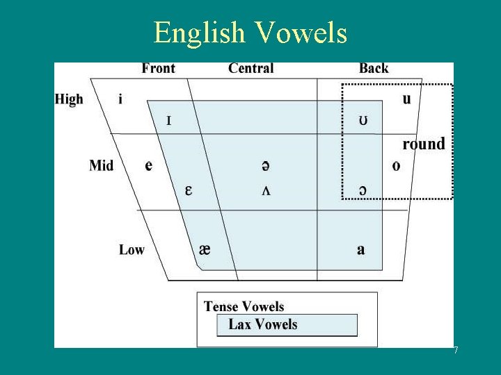 English Vowels 7 