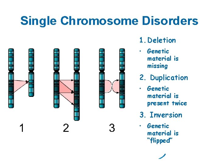 Single Chromosome Disorders 1. Deletion • Genetic material is missing 2. Duplication • Genetic