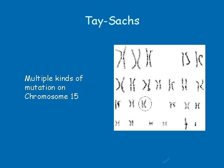 Tay-Sachs Multiple kinds of mutation on Chromosome 15 