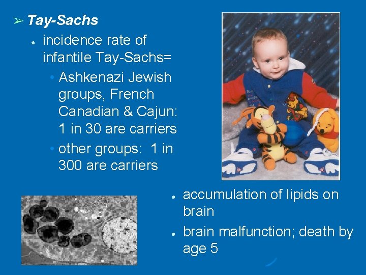 ➢ Tay-Sachs ● incidence rate of infantile Tay-Sachs= • Ashkenazi Jewish groups, French Canadian