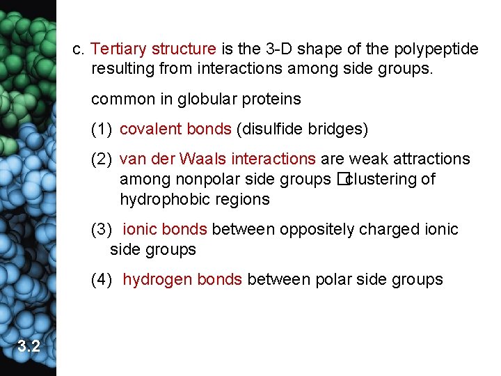c. Tertiary structure is the 3 -D shape of the polypeptide resulting from interactions