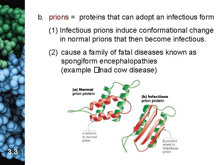 b. prions = proteins that can adopt an infectious form (1) Infectious prions induce