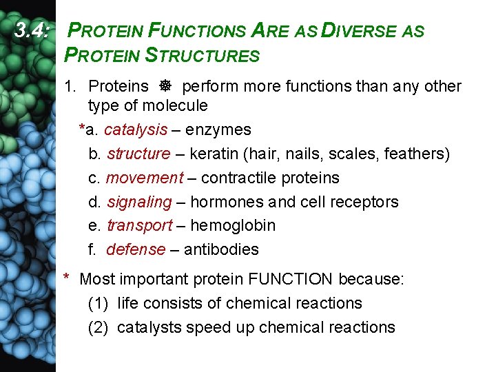 3. 4: PROTEIN FUNCTIONS ARE AS DIVERSE AS PROTEIN STRUCTURES 1. Proteins perform more