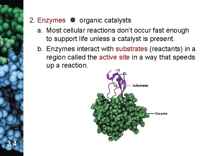 2. Enzymes organic catalysts a. Most cellular reactions don’t occur fast enough to support