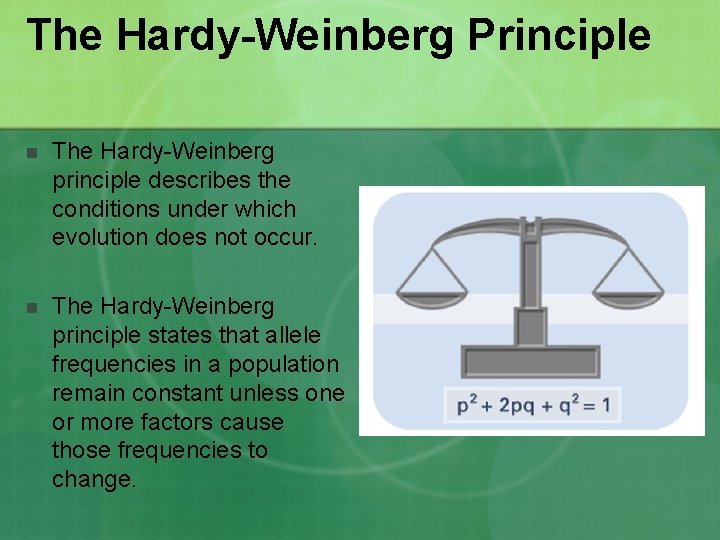 The Hardy-Weinberg Principle n The Hardy-Weinberg principle describes the conditions under which evolution does The Hardy-Weinberg Principle n The Hardy-Weinberg principle describes the conditions under which evolution does