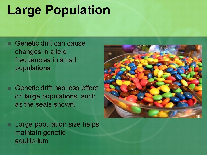 Large Population n Genetic drift can cause changes in allele frequencies in small populations. Large Population n Genetic drift can cause changes in allele frequencies in small populations.