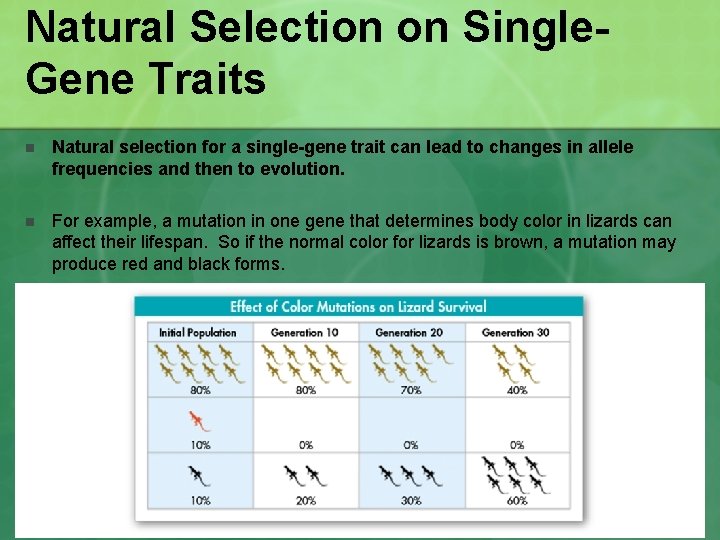 Natural Selection on Single. Gene Traits n Natural selection for a single-gene trait can Natural Selection on Single. Gene Traits n Natural selection for a single-gene trait can