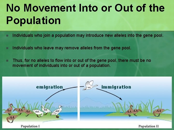 No Movement Into or Out of the Population n Individuals who join a population No Movement Into or Out of the Population n Individuals who join a population