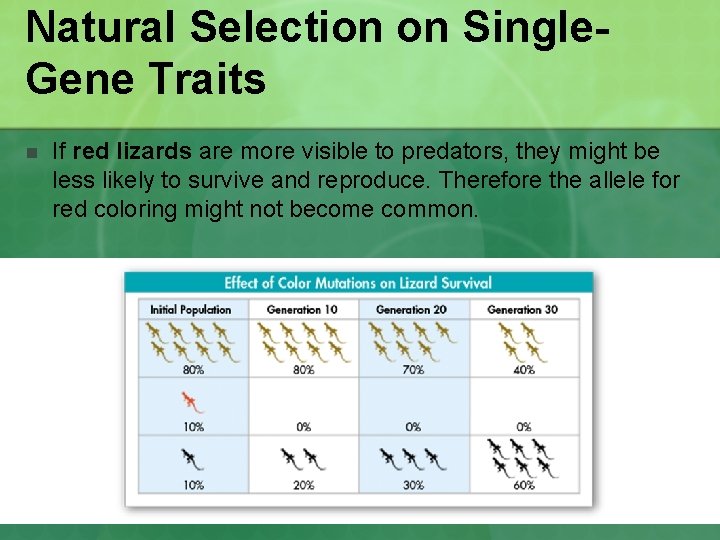Natural Selection on Single. Gene Traits n If red lizards are more visible to Natural Selection on Single. Gene Traits n If red lizards are more visible to