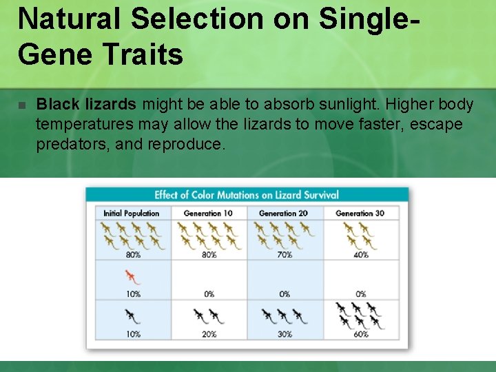 Natural Selection on Single. Gene Traits n Black lizards might be able to absorb Natural Selection on Single. Gene Traits n Black lizards might be able to absorb