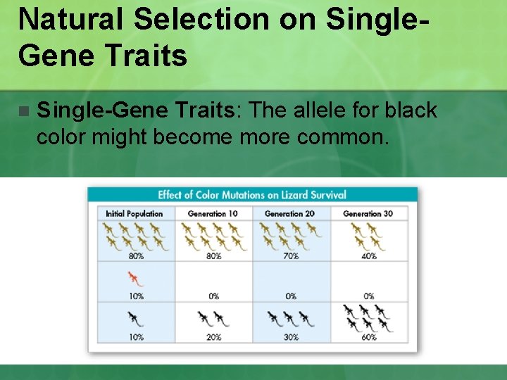 Natural Selection on Single. Gene Traits n Single-Gene Traits: The allele for black color Natural Selection on Single. Gene Traits n Single-Gene Traits: The allele for black color