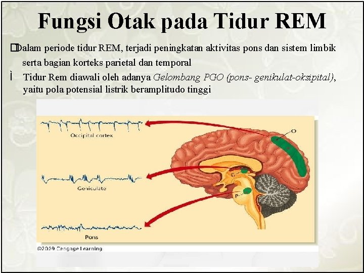 Kurimoti Tiduru