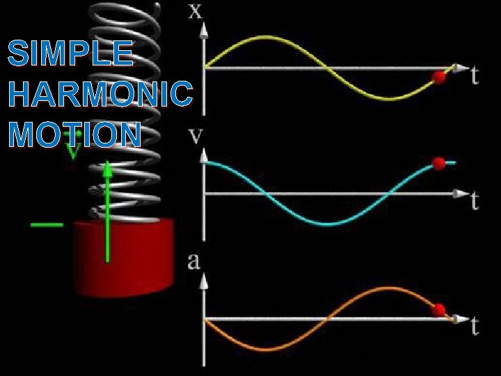 SIMPLE HARMONIC MOTION 