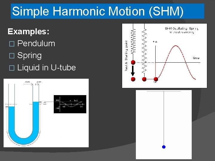 Simple Harmonic Motion (SHM) Examples: � Pendulum � Spring � Liquid in U-tube 