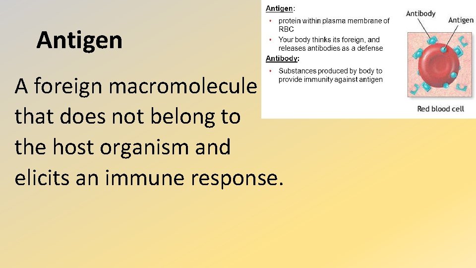Antigen A foreign macromolecule that does not belong to the host organism and elicits