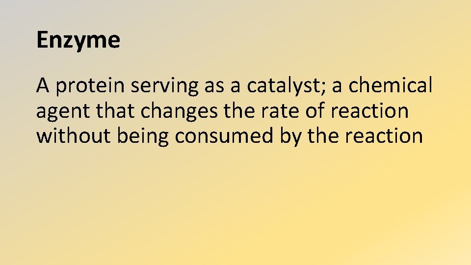Enzyme A protein serving as a catalyst; a chemical agent that changes the rate