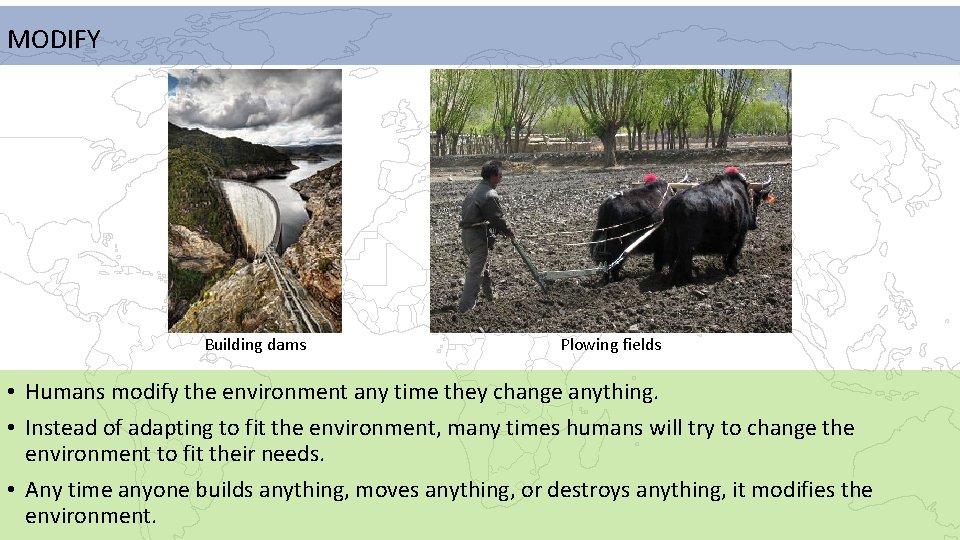 MODIFY Building dams Plowing fields • Humans modify the environment any time they change