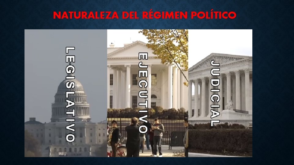 NATURALEZA DEL RÉGIMEN POLÍTICO 