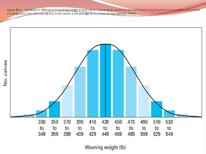 Figure 13. 1 Variation or difference in weaning weight in beef cattle. The variation Figure 13. 1 Variation or difference in weaning weight in beef cattle. The variation