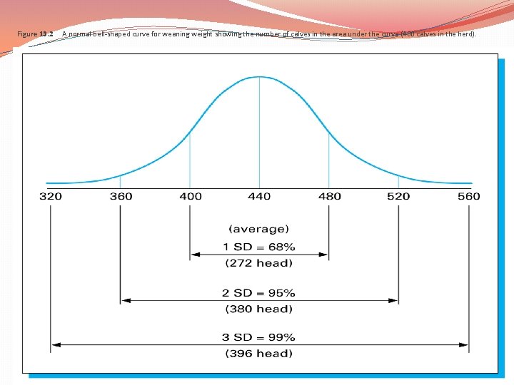 Figure 13. 2 A normal bell-shaped curve for weaning weight showing the number of Figure 13. 2 A normal bell-shaped curve for weaning weight showing the number of