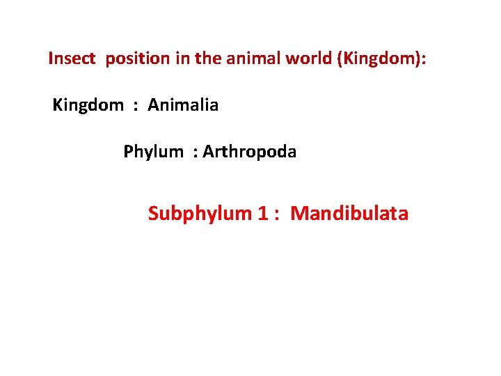 Insect position in the animal world (Kingdom): Kingdom : Animalia Phylum : Arthropoda Subphylum