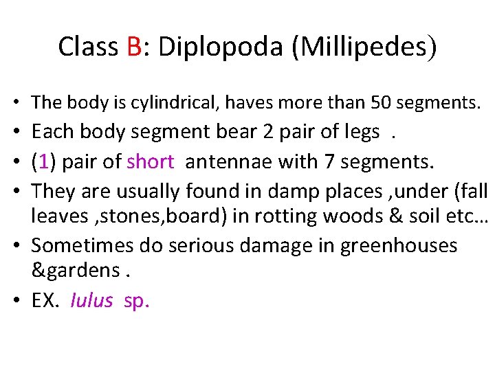 Class B: Diplopoda (Millipedes) • The body is cylindrical, haves more than 50 segments.