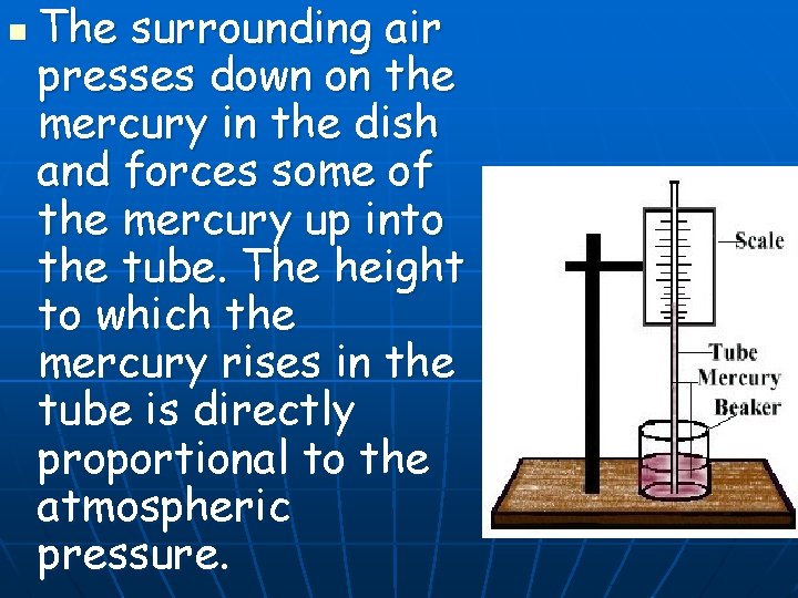 n The surrounding air presses down on the mercury in the dish and forces