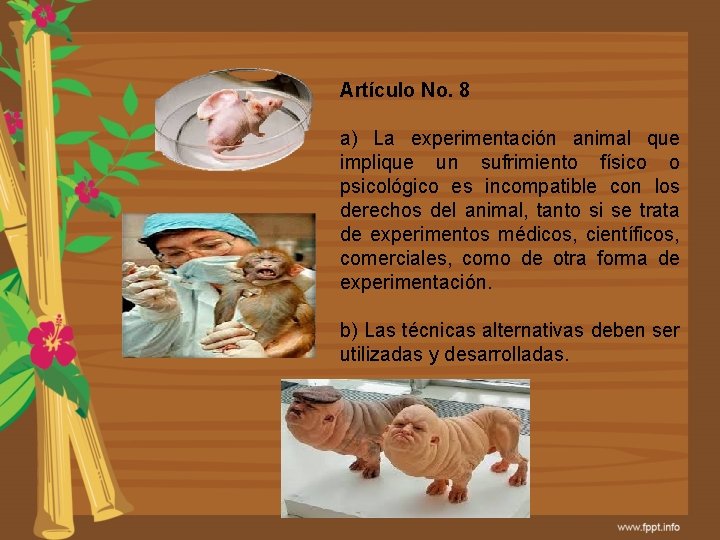Artículo No. 8 a) La experimentación animal que implique un sufrimiento físico o psicológico