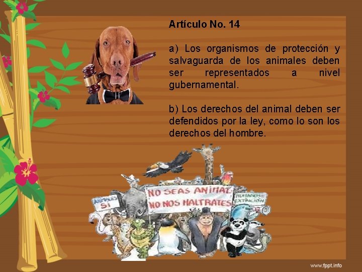 Artículo No. 14 a) Los organismos de protección y salvaguarda de los animales deben