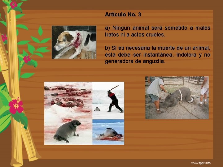 Artículo No. 3 a) Ningún animal será sometido a malos tratos ni a actos