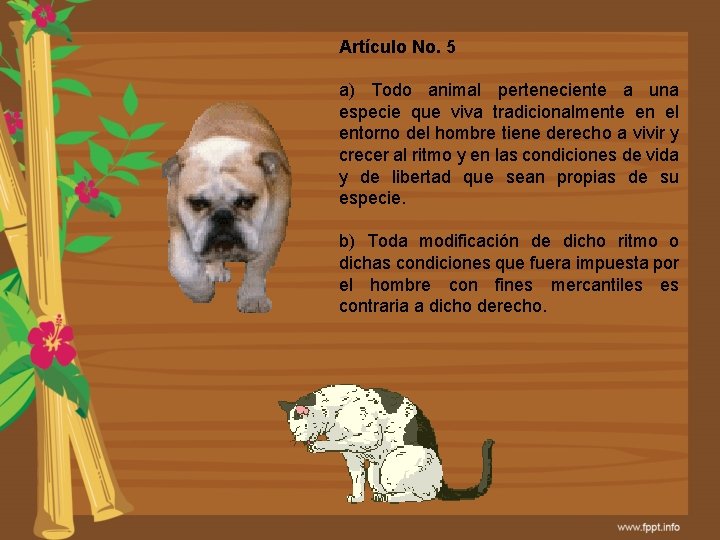 Artículo No. 5 a) Todo animal perteneciente a una especie que viva tradicionalmente en