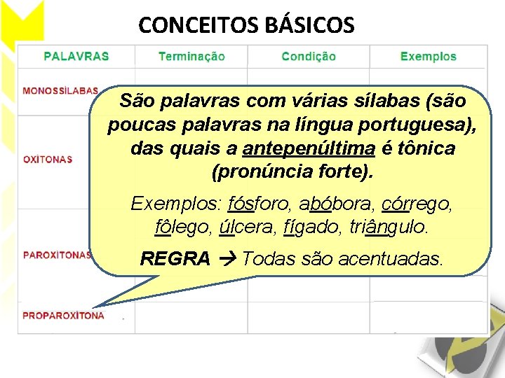 CONCEITOS BÁSICOS São palavras com várias sílabas (são poucas palavras na língua portuguesa), das