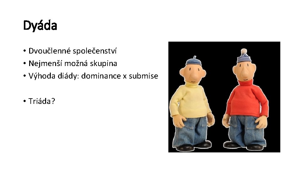 Dyáda • Dvoučlenné společenství • Nejmenší možná skupina • Výhoda diády: dominance x submise