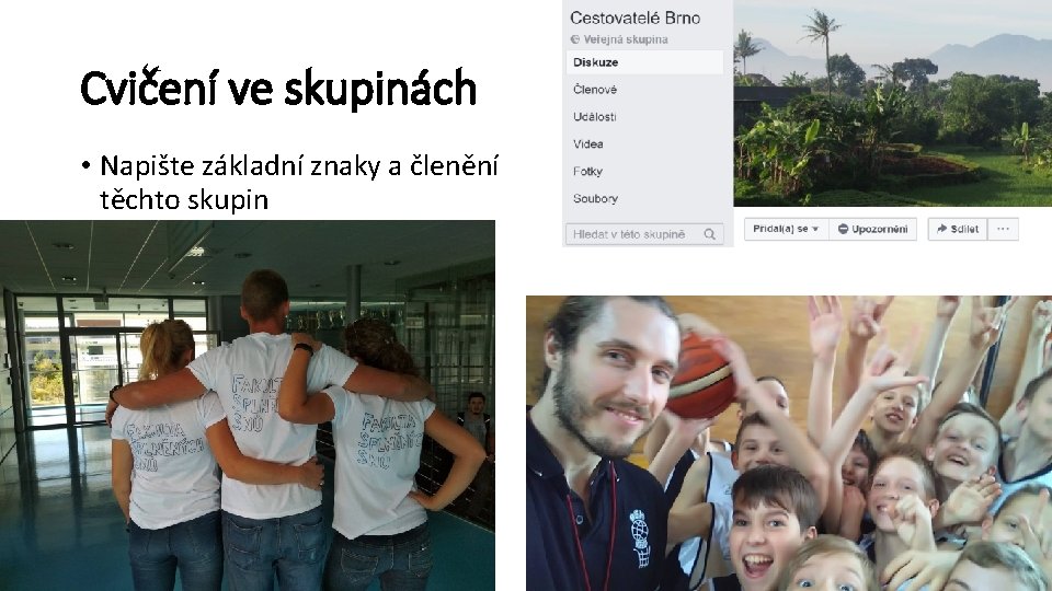 Cvičení ve skupinách • Napište základní znaky a členění těchto skupin 