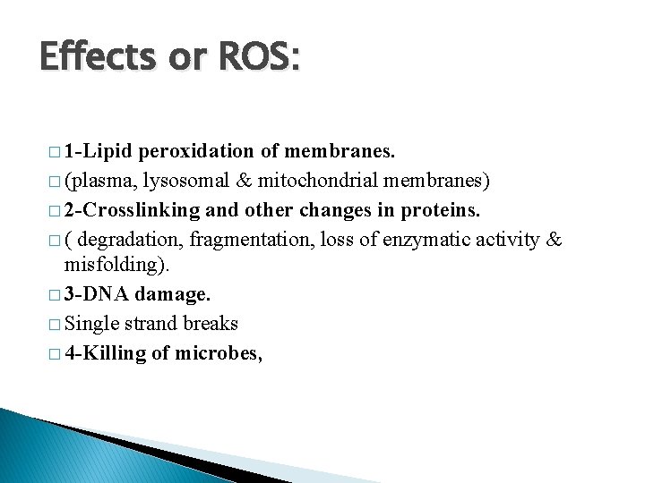 Effects or ROS: � 1 -Lipid peroxidation of membranes. � (plasma, lysosomal & mitochondrial