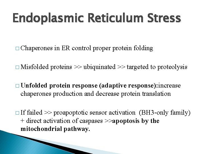 Endoplasmic Reticulum Stress � Chaperones � Misfolded in ER control proper protein folding proteins