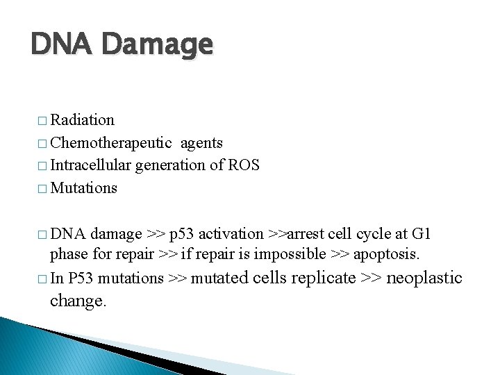 DNA Damage � Radiation � Chemotherapeutic agents � Intracellular generation of ROS � Mutations