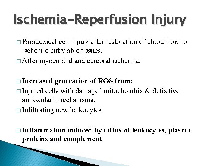 Ischemia-Reperfusion Injury � Paradoxical cell injury after restoration of blood flow to ischemic but