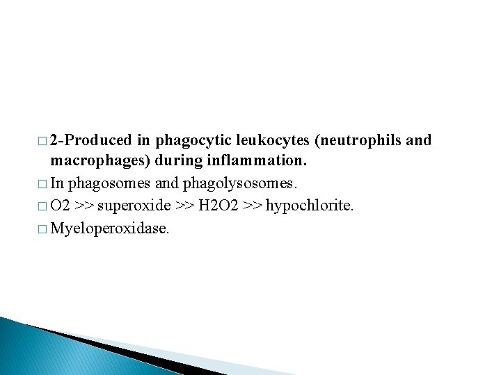 � 2 -Produced in phagocytic leukocytes (neutrophils and macrophages) during inflammation. � In phagosomes