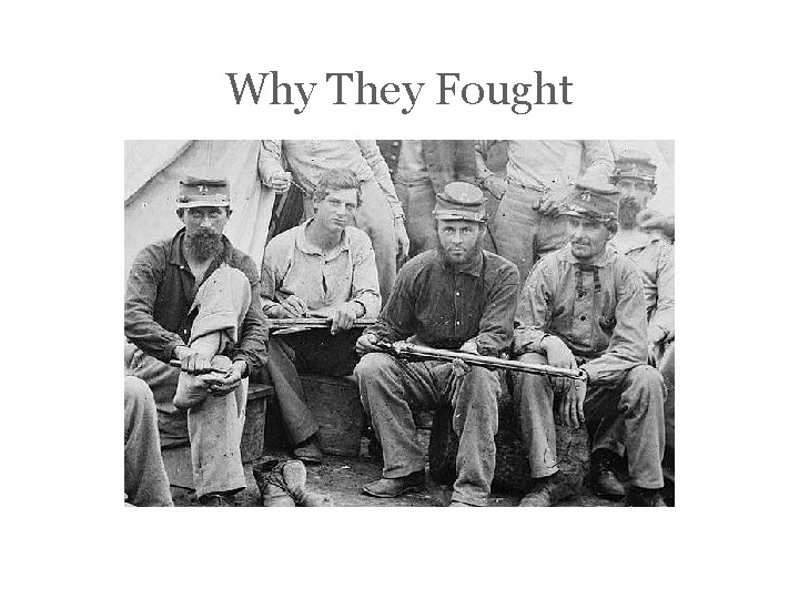 Why They Fought 