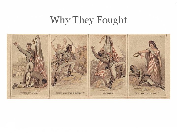 / Why They Fought 