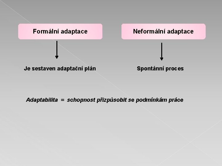 Formální adaptace Je sestaven adaptační plán Neformální adaptace Spontánní proces Adaptabilita = schopnost přizpůsobit